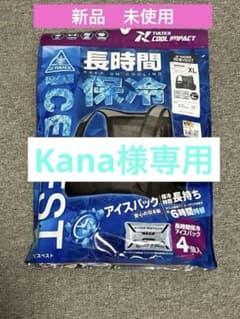 ワークマン　アイスベスト 保冷材4個入 サイズXLのサムネイル
