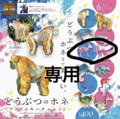 清水イズ　どうぶつのホネ　アクリルキーチェーン2   フェネックのサムネイル