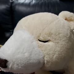 くったりシロくまのサムネイル