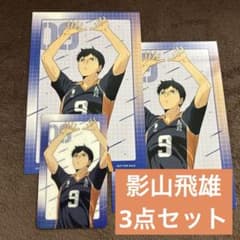 ハイキュー ホロカード ビジュアルカード 特典 影山飛雄