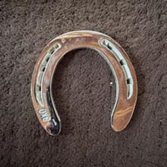 馬の馬蹄のサムネイル