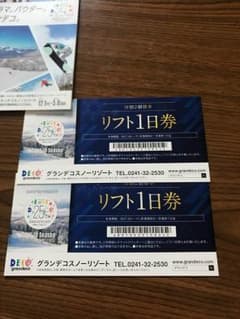 ひろちんさん 専用 グランデコ 1日 リフト券 2枚のサムネイル