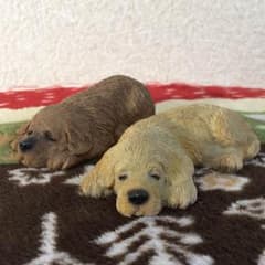 お昼寝 わんこ 置物 セットのサムネイル