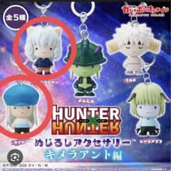 [HUNTER × HUNTER] 메지루시 액세서리 키메라 앤트편 피토 + 카이트