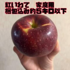紅いわて　５キロ　家庭用のサムネイル