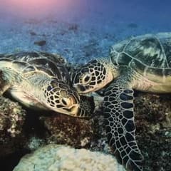 りり様 専用♪のサムネイル
