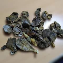 イノシシ胆嚢 胆のう お守り 厄除け - メルカリ