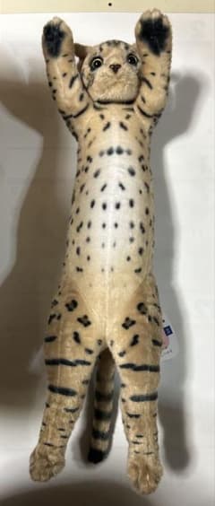타치치 zoo 냥코 타치치 zoo 벵골 고양이 봉제인형 리얼 고양이 자립