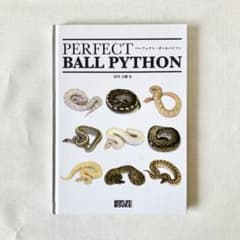 絶版】PERFECT BALLPYTHON パーフェクトボールパイソン 爬虫類