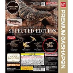 【新品未開封】いきもの大図鑑アドバンス1 ニシアフリカトカゲモドキのサムネイル