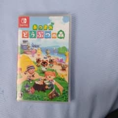 r*a様 Nintendo Switch あつまれ どうぶつの森 ソフトのサムネイル