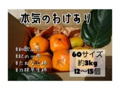 120 柿 本気の わけあり 3㎏ 刀根早生 たねなし柿 和歌山県   かきのサムネイル