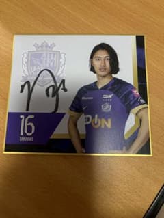 サンフレッチェ広島　志知孝明選手　サイン入りミニ色紙のサムネイル