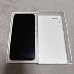 Apple iPhone 12 본체