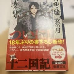 白銀の墟 玄の月 第一巻 十二国記のサムネイル