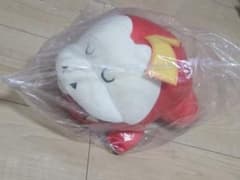 ピカピカボックス2023 ホゲータ 初夢ぬいぐるみ ポケモン