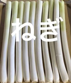 ねぎのサムネイル