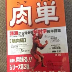 メアリーさん専用 肉単のサムネイル