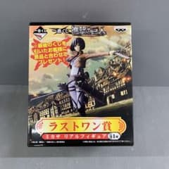 m17868021185_1.jpg?1730438825