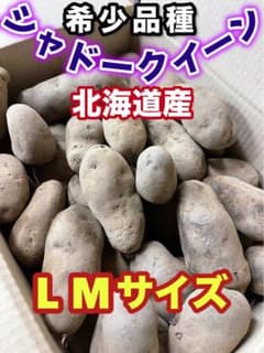 シャドークィーン(紫色のジャガイモ)アントシアニンたっぷり　北海道産5kgLMのサムネイル