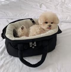 SSFW 韓国 メロウバッグ - メルカリ