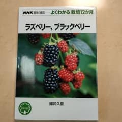NHK よくわかる栽培12ヵ月 ラズベリー、ブラックベリーのサムネイル
