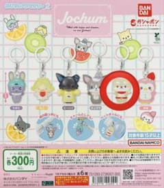 JOCHUM めじるしアクセサリーMOーfu専用ページのサムネイル