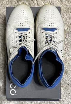 Echo (ECCO) golf shoes natural leather Gore-Tex