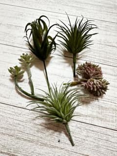 多肉植物 フェイクグリーン 5個セットのサムネイル