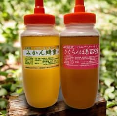 希少　特選みかん蜜　さくらんぼ百花　生はちみつ　600g2本セット　国産　非加熱 希少 特選みかん蜜 さくらんぼ百 生はちみつ 300g2本セット 国産 非
