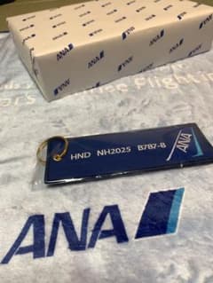 新品未使用】ANA初日の出フライト_2025年元旦_記念品_ブランケット