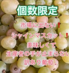 シャインマスカット 限定品 3箱のみ　訳あり箱入り1.2キロのサムネイル