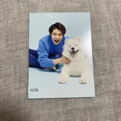 岸優太 厚紙のサムネイル