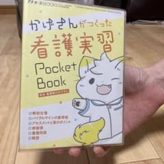 かげさんがつくった看護実習Pocket Bookのサムネイル