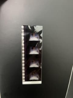 에반게리온 신극장판:서 DVD 특전 컷 필름 미사토 침대