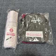 櫻坂46くじ　折りたたみ傘　スマホショルダーのサムネイル