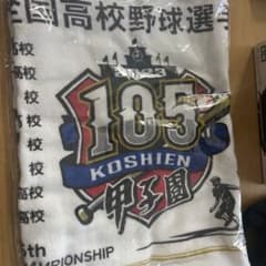 第105回全国高校野球選手権記念大会 タオルのサムネイル