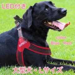 【専用】LED Light付き ハーネス　M. Lサイズ  セットのサムネイル