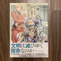 ふしぎの国のバード 13巻のサムネイル