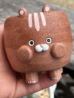 多肉植物　作家さん　チャビーファーム　リメ鉢のサムネイル