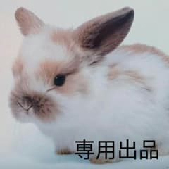 まあちん様 専用出品のサムネイル