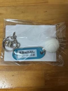 ハイキュー!! トレーディング高校名付き鍵チャームキーホルダー 青葉城西のサムネイル