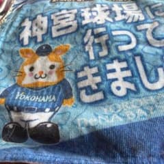 タオルハンカチのサムネイル