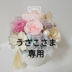 うさこさま専用ページのサムネイル