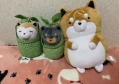 타루시바 봉제인형