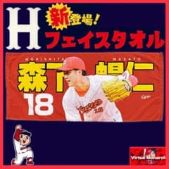 m17908089051_1.jpg?1702165747