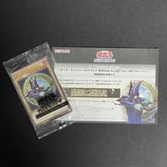 リ*ン様 遊戯王ブラック・マジシャン ウルトラレア SPECIAL ILLUST