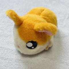 m17924257634_1.jpg?1756521129