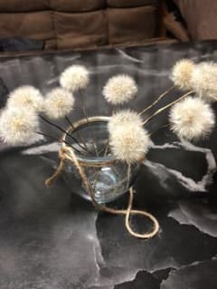 ドライフラワー  たんぽぽの綿毛 茎（針金）付きのサムネイル