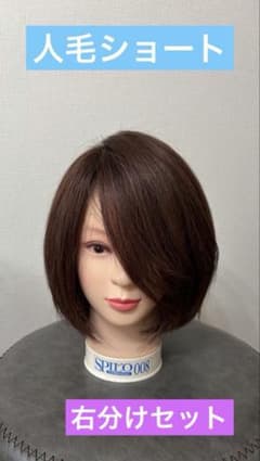 人毛ショート　ダークブラウン 前髪なし　未使用 人毛ショート ダークブラウン 前髪なし 未使用 - メルカリ